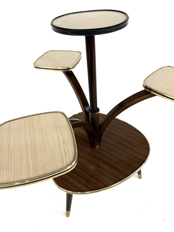 Image 1 of Vintage plant table '60