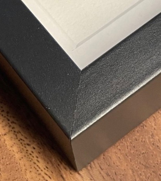 Image 1 of Original-Siebdruck von James Rizzi: "Süß und sauer, 2002"