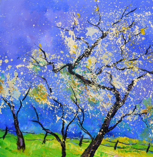 Blooming apple trees in spring