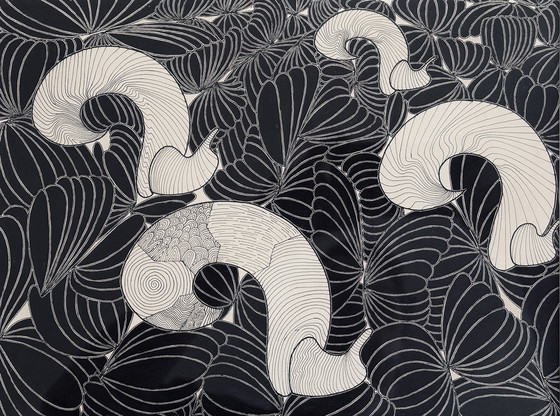 Image 1 of Pierre-Francois Vaysse - Art Brut circa 1970 - Tinta china - enmarcado