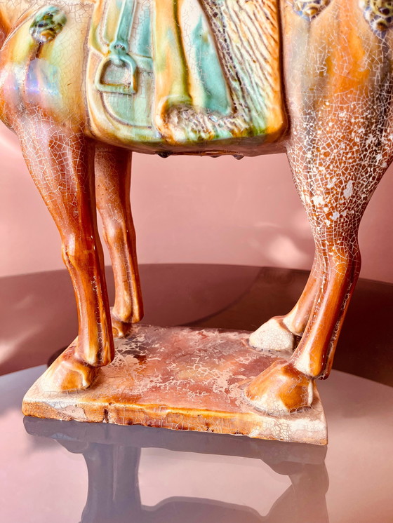 Image 1 of Statue de Sacai de l'ancienne dynastie Tang « cheval »