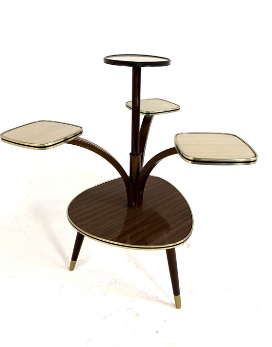 Image 1 of Vintage plant table '60
