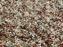 Alfombra de calabaza con puntos de Brink and Campman