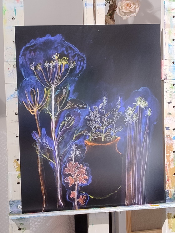 Image 1 of Jardin nocturne