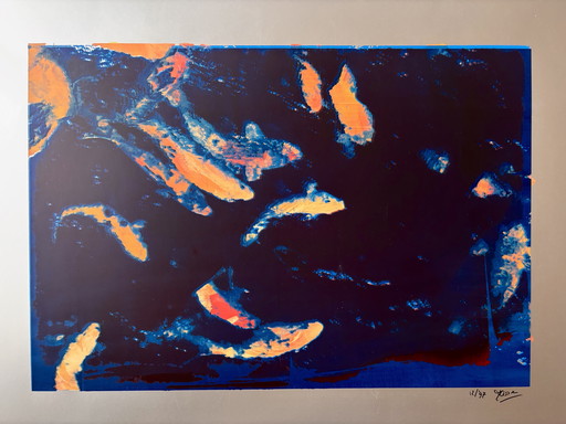 Zeefdruk van koikarpers