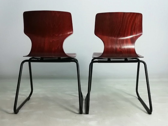 Image 1 of 4x sedia laterale FLÖTOTTO PAGWOOD set di sedie anni '70 nere VINTAGE design industriale seduta modellata