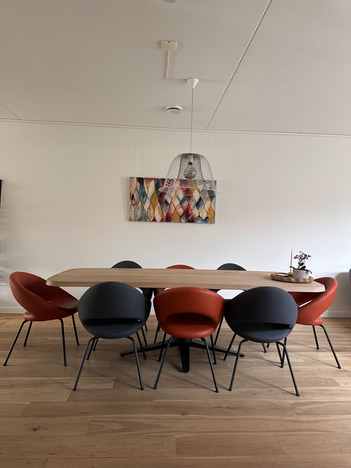 4 sedie Artifort Nina