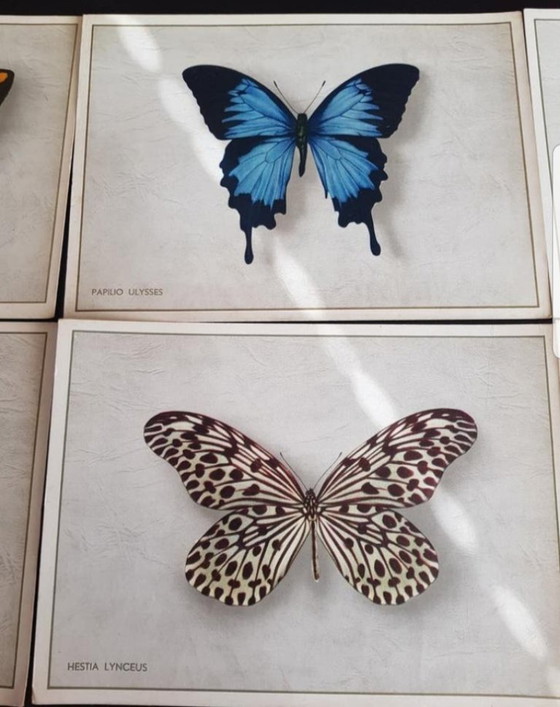 Image 1 of Complete Series (6 pcs) Antique Advertising Chromos Butterflies