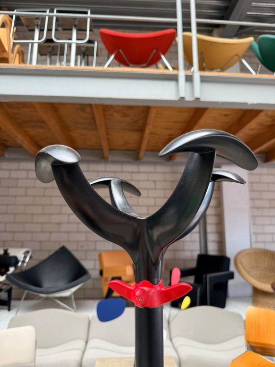 Image 1 of Rexite Cactus Coat Rack by Raul Barbieri (Stock: 3)