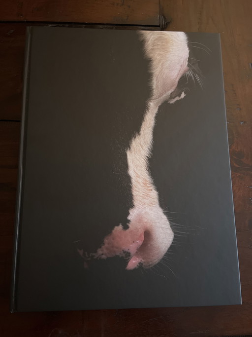 Jan Smink e Ruurd Jelle van der Ley Libro da tavolino