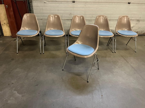 Image 1 of 6x Vintage Fiberglass DSX Chairs Dining Room Chairs Vitra Eames