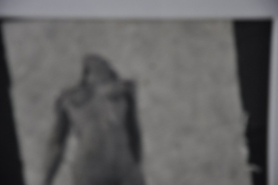 Image 1 of "She and he" Philippe Paulus Jacobus Smeyers