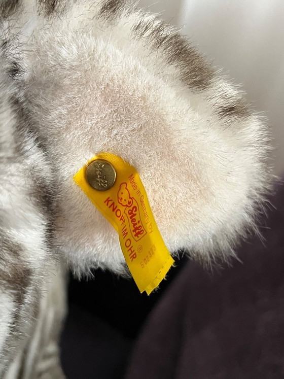 Image 1 of Steiff Studio Zebra