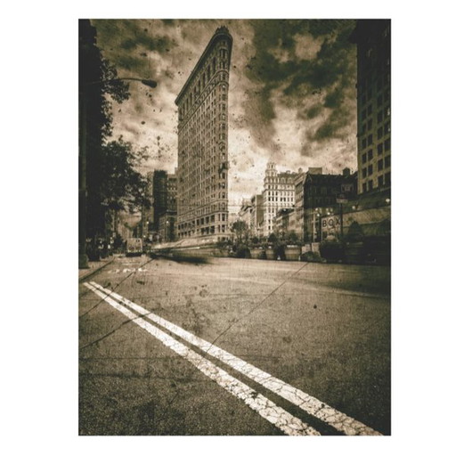 Dipinto Cobra Art Flatiron Lines - 120x80