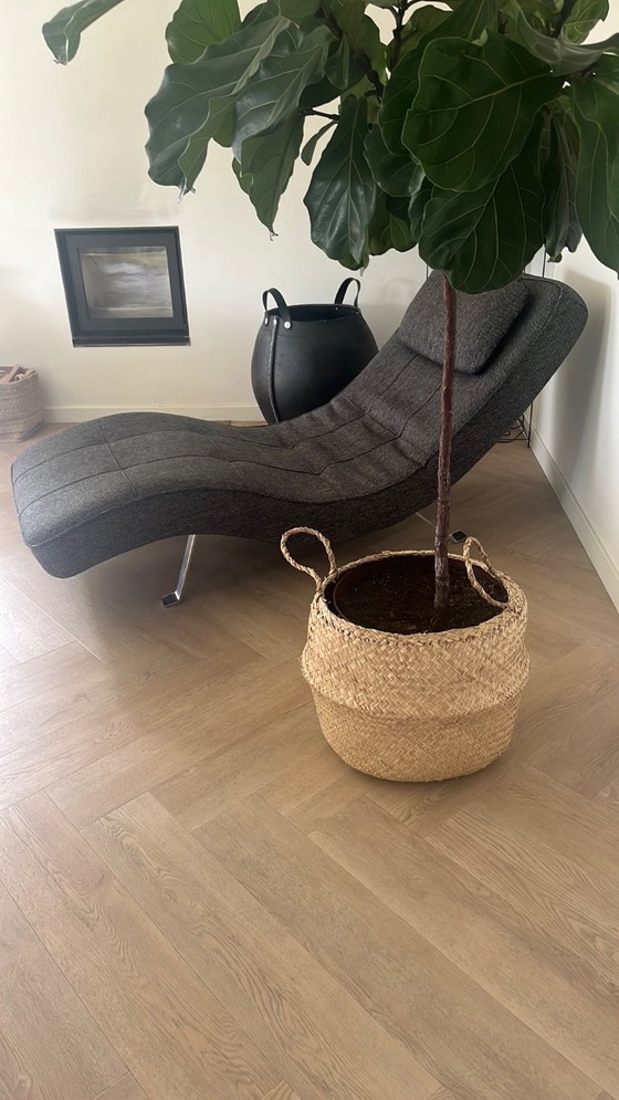 Image 1 of Adjustable sun lounger/lounge chair