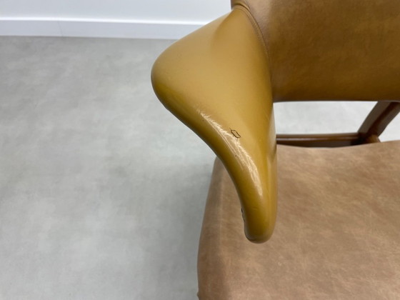 Image 1 of Louis van Teeffelen für das Wébé Penguin Restoration Project