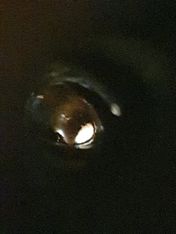 Image 1 of Tapón vertedor de cerámica Art Déco