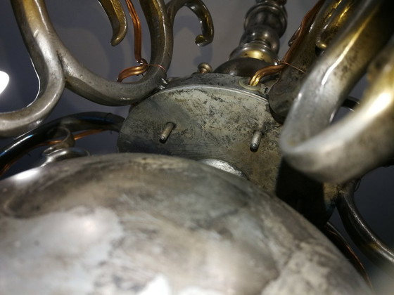 Image 1 of lucentezza da clone fiammingo