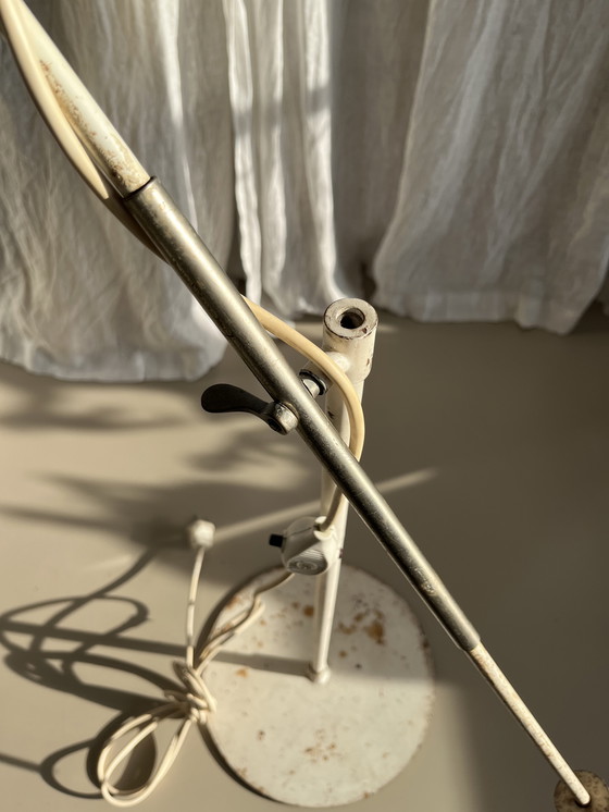 Image 1 of Stehleuchte & Pendelleuchte Artifort 1956