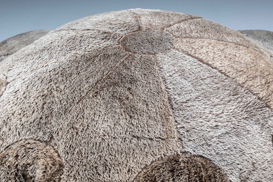 Image 1 of Divano Edra Aster Papposus di Fernando & Humberto Compana, Italia, 2006