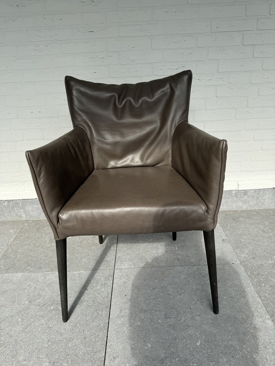 Image 1 of 8x Label Mali dining chair by Gerard Van De Berg