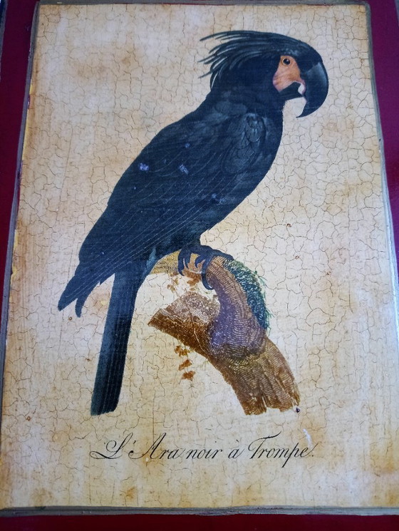 Image 1 of Openhaard luciferhouder