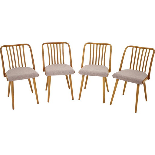 Set of 4 vintage oakwood dining chairs by Antonin Suman, Czechoslovakia 1970s