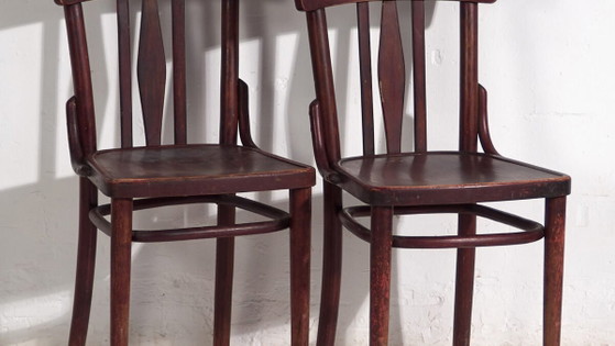Antique Thonet chairs (c.1920). Set of 2 pieces #1 – Dining chairs (photo 3 of 40)