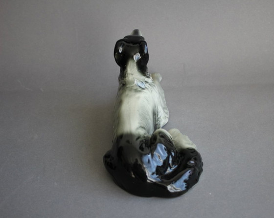 Image 1 of Galgo ruso (Borzoi), tumbado, con manchas blancas y negras, probablemente Scheidig Gräfenthal.