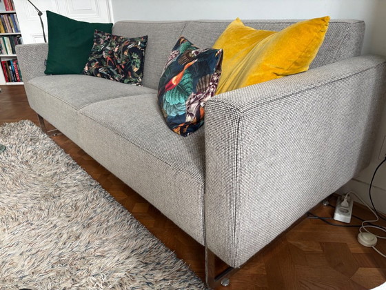 Divano di design Artifort Mare in pura lana vergine – Divani 3 posti, Wool, rvs (photo 13 of 15)