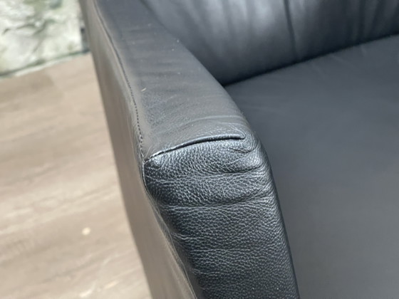 Image 1 of Montis Windy Negro