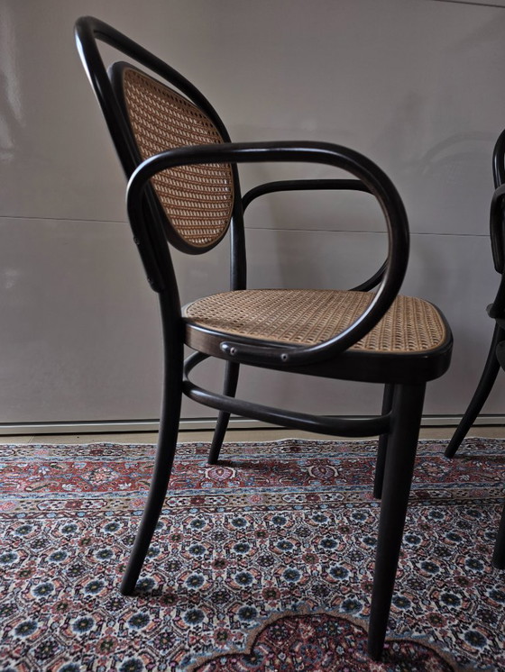 Image 1 of Sedie Thonet 215 RF