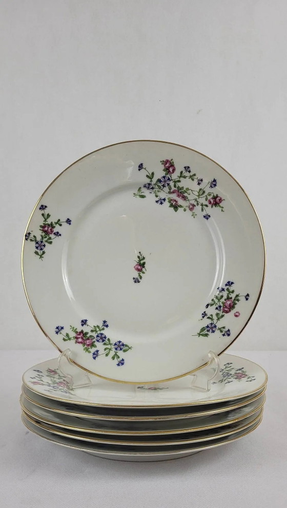 6 platte borden versierd met weerhaken – Servies, Porcelain (photo 2 of 12)