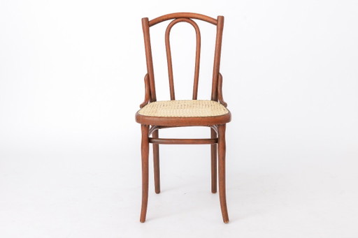 Sedia antica in legno curvato nello stile di Thonet n. 56 | Sedia da bistrot austriaca in rattan | Anni '30 – eetkamerstoelen
