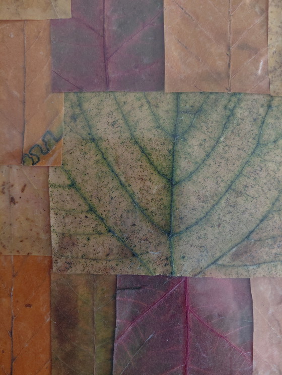 Image 1 of "Leaves from the Earth" Gallery Suncorner