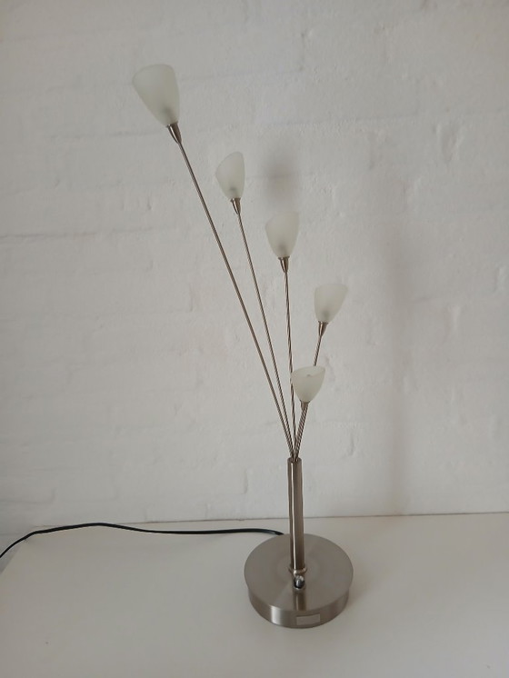 Image 1 of Tischleuchte - Jan des Bouvrie - Boxford