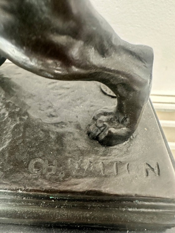 Image 1 of Lion en bronze 