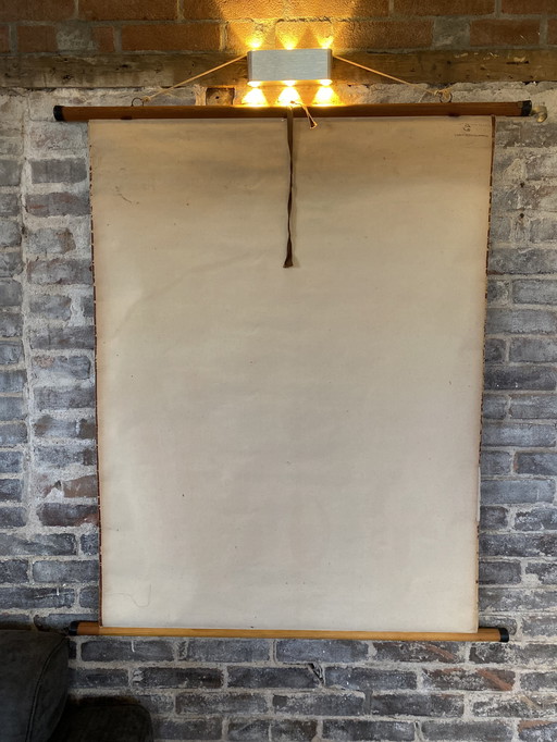 Schoolplaat entomostrasa