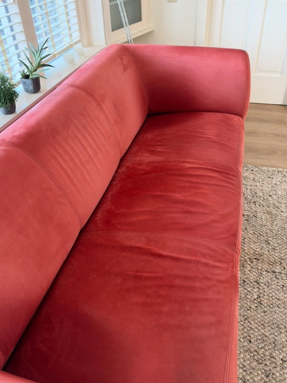 Gelderland Young 2.5-seater sofa, 3-5 seaters, Leather, Metal, Red, Modern (photo 4 of 15)
