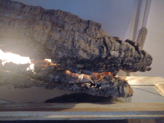 Image 1 of Dies ist ein echter Korkeichenbaum mit Beleuchtung