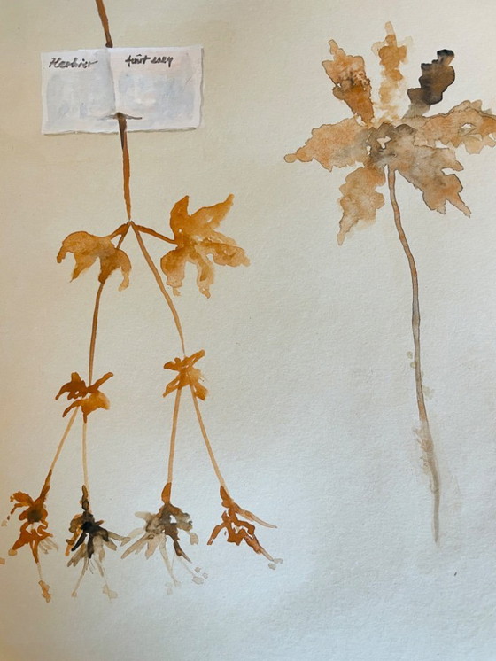 Image 1 of Signed watercolor painting from the Herbiers collection in trompe l'oeil