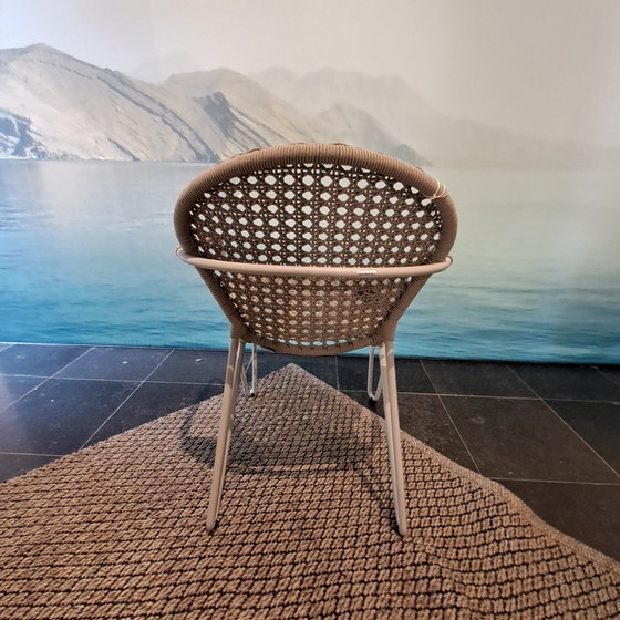 Image 1 of Sedia da pranzo Joli Fizz