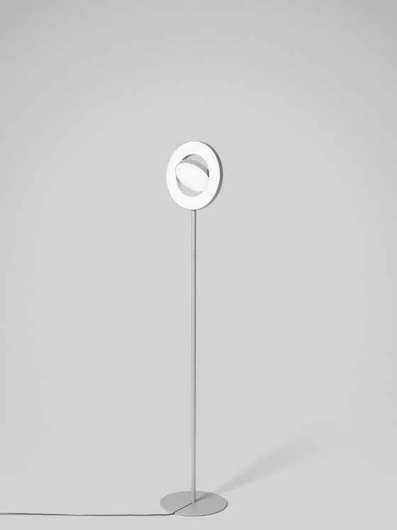 Image 1 of JAPTH Signum floor lamp with swivel spotlight in gray