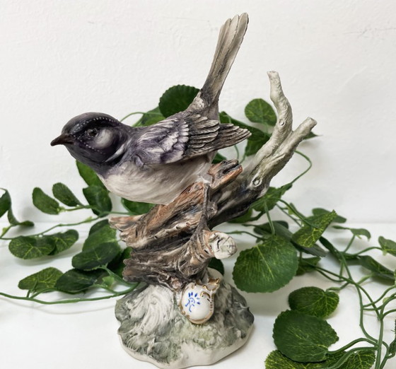 Image 1 of Capodimonte – Passerotto di Marfò