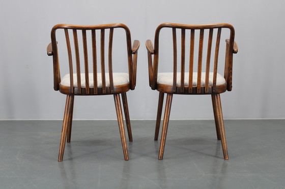Image 1 of 1960 Antonin Suman Ensemble de six chaises de salle à manger en hêtre, restaurées