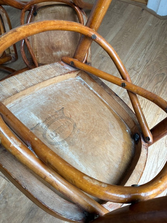 Image 1 of 4x Stühle im Thonet-Stil
