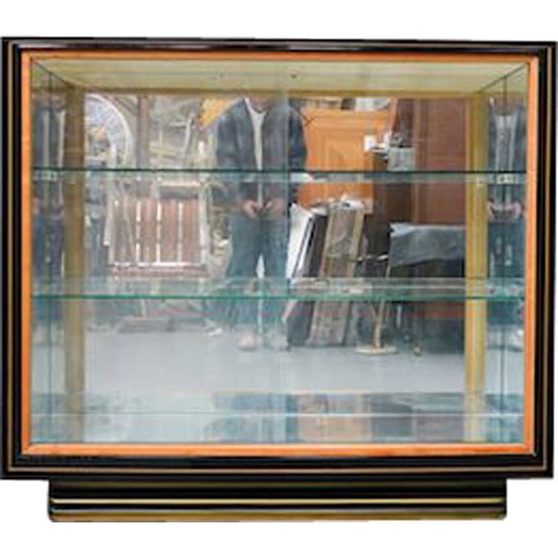 Vintage Showcase cabinet by vittorio dassi 1950s