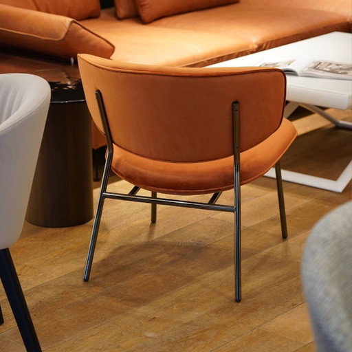 Poltrona Calligaris Fifties Lounge | Velluto | Modello da esposizione