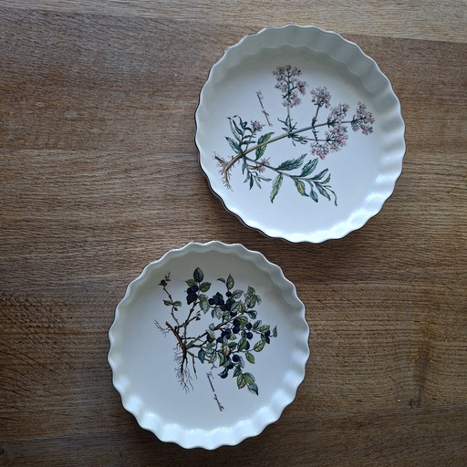 Villeroy & Boch Botanica series cake molds