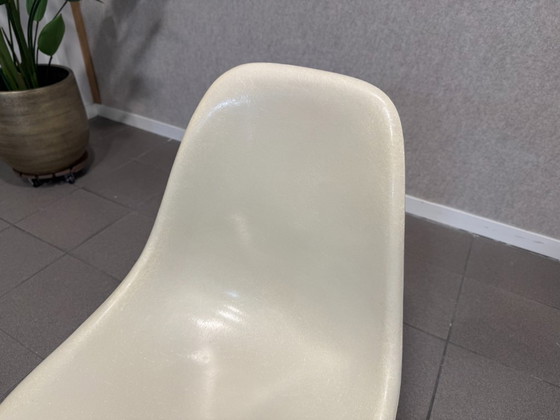 Vitra | Eames | DSX | Parchment and black base | 1 piece – Dining chairs, Metal, Fiberglass (photo 7 of 11)